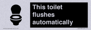 This toilet flushes automatically